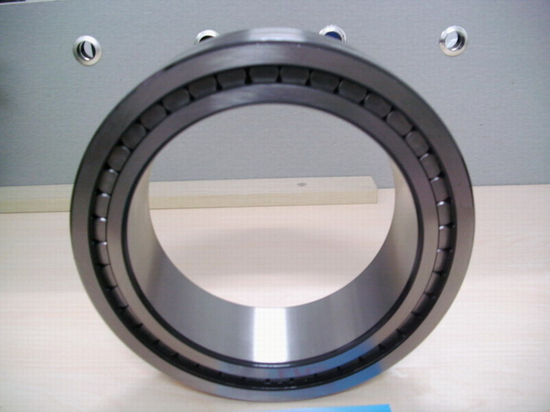 Single row cylindrical roller bearing